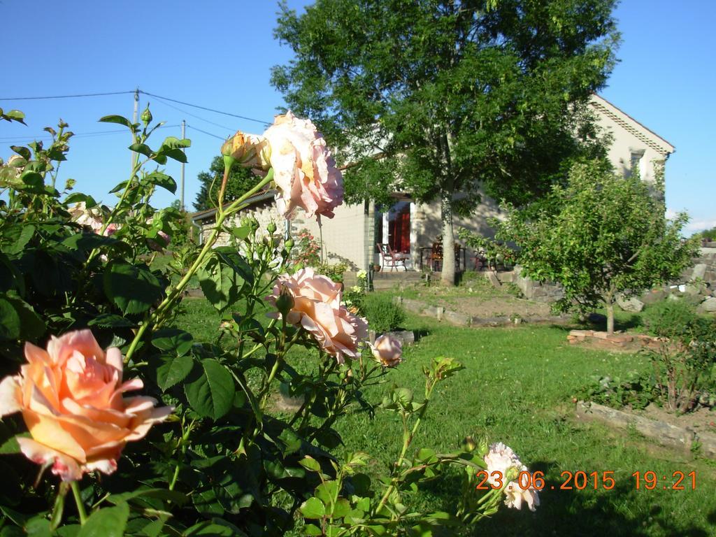 Le Jardin Des Pierres Brunes Saint-Jean-des-Ollières Buitenkant foto